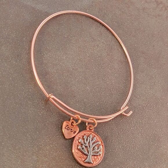 NEW Copper Tree of Life Love Heart Expandable Charm Bracelet - Picture 2 of 5